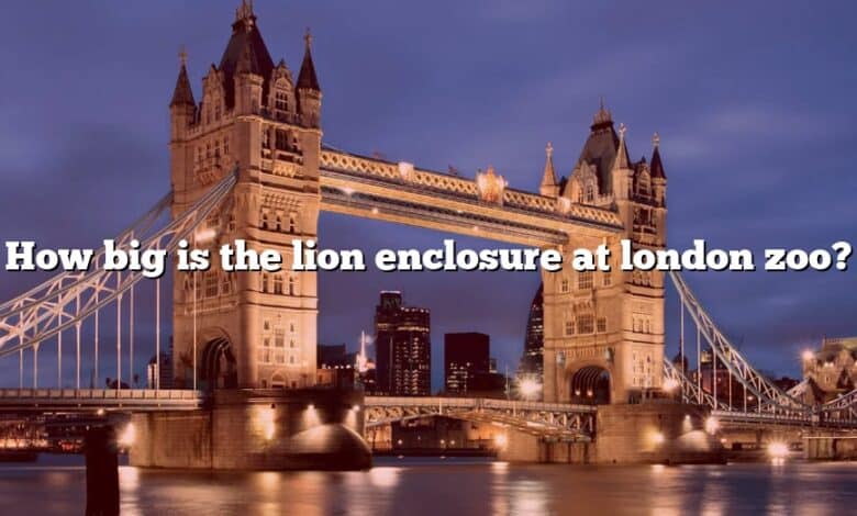 How big is the lion enclosure at london zoo?