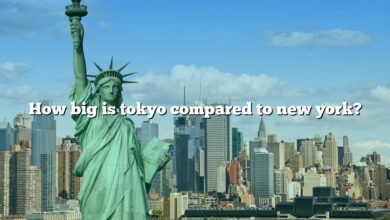 How big is tokyo compared to new york?