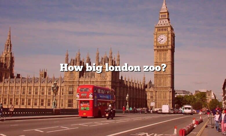 How big london zoo?