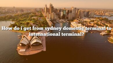 How do i get from sydney domestic terminal to international terminal?
