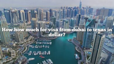 How how much for visa from dubai to texas in dollar?
