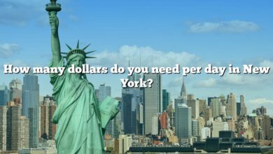 How many dollars do you need per day in New York?