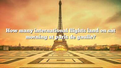 How many international flights land on sat morning at paris de gaulle?