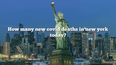 How many new covid deaths in new york today?