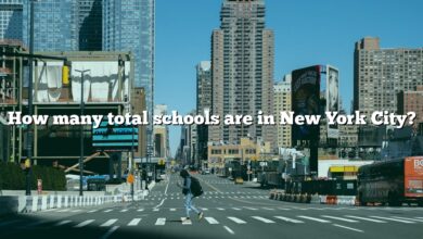How many total schools are in New York City?