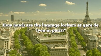 How much are the luggage lockers at gare de lyon in paris?