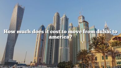 How much does it cost to move from dubai to america?