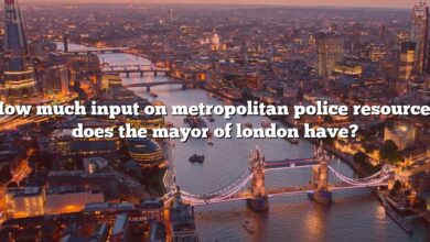 How much input on metropolitan police resources does the mayor of london have?