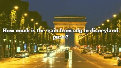 How much is the train from cdg to disneyland paris?
