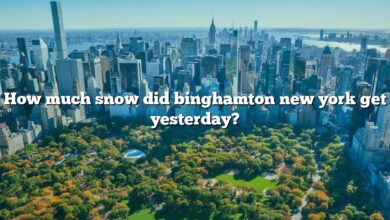 How much snow did binghamton new york get yesterday?