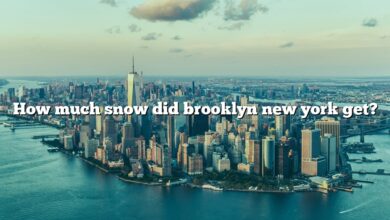 How much snow did brooklyn new york get?