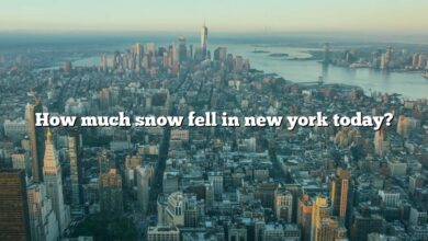 How much snow fell in new york today?