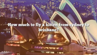 How much to fly a kitten from sydney to brisbane?