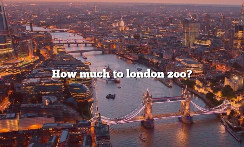 How much to london zoo?