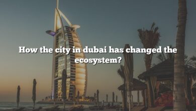 How the city in dubai has changed the ecosystem?
