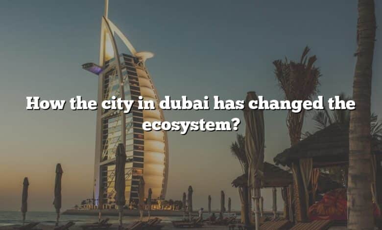 How the city in dubai has changed the ecosystem?