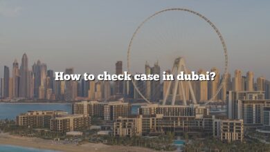 How to check case in dubai?