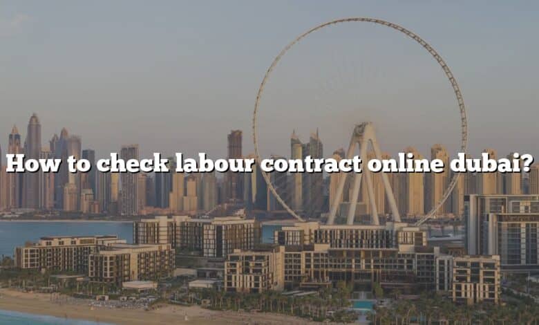 How to check labour contract online dubai?