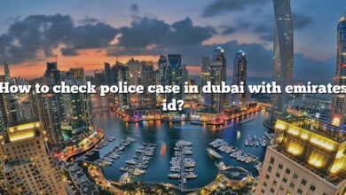 How to check police case in dubai with emirates id?