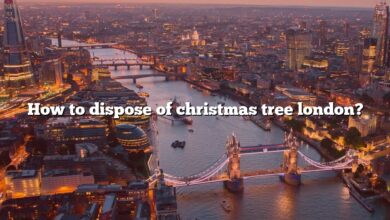 How to dispose of christmas tree london?