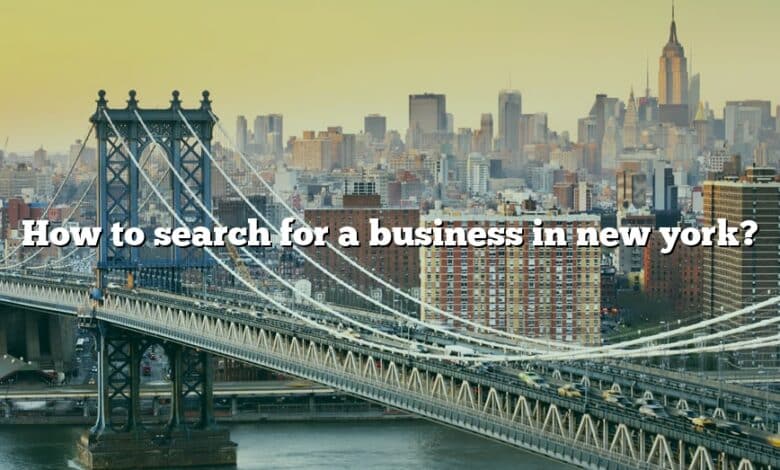 How to search for a business in new york?
