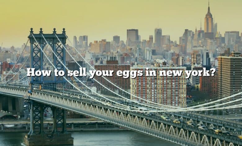 How to sell your eggs in new york?