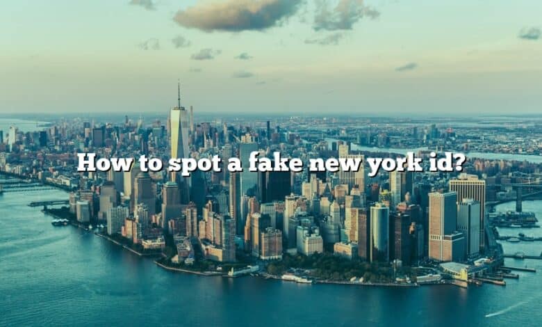 How to spot a fake new york id?