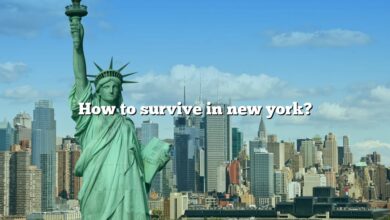 How to survive in new york?