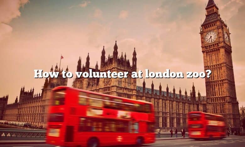 How to volunteer at london zoo?