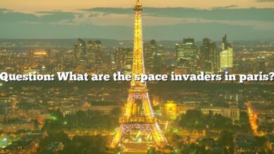 Question: What are the space invaders in paris?