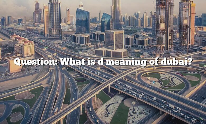 Question: What is d meaning of dubai?