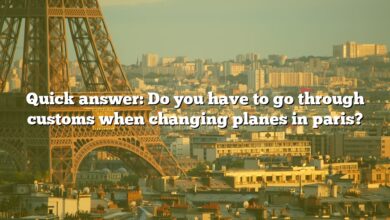 Quick answer: Do you have to go through customs when changing planes in paris?