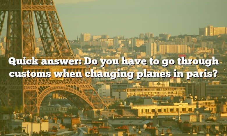 Quick answer: Do you have to go through customs when changing planes in paris?