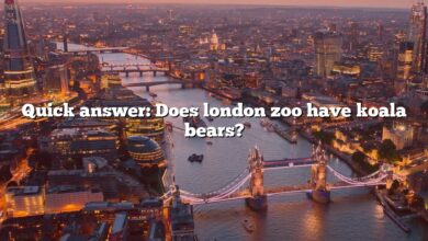 Quick answer: Does london zoo have koala bears?