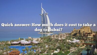 Quick answer: How much does it cost to take a dog to dubai?