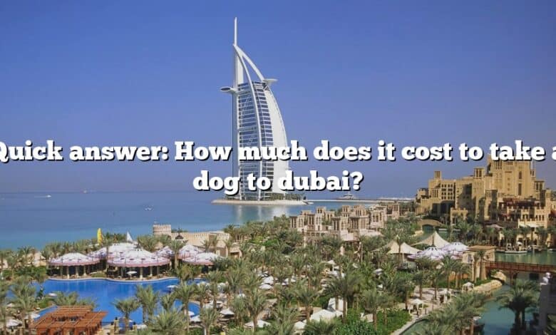 Quick answer: How much does it cost to take a dog to dubai?