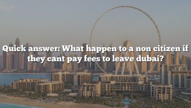 Quick answer: What happen to a non citizen if they cant pay fees to leave dubai?