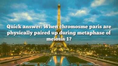 Quick answer: When chromosme paris are physically paired up during metaphase of meiosis 1?