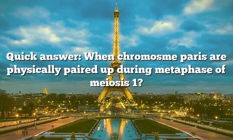 Quick answer: When chromosme paris are physically paired up during metaphase of meiosis 1?