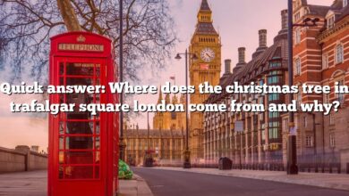Quick answer: Where does the christmas tree in trafalgar square london come from and why?