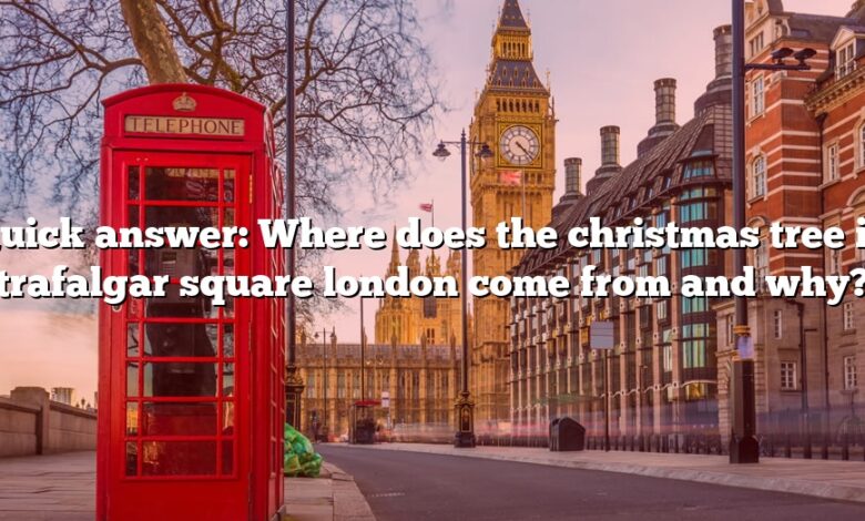 Quick answer: Where does the christmas tree in trafalgar square london come from and why?