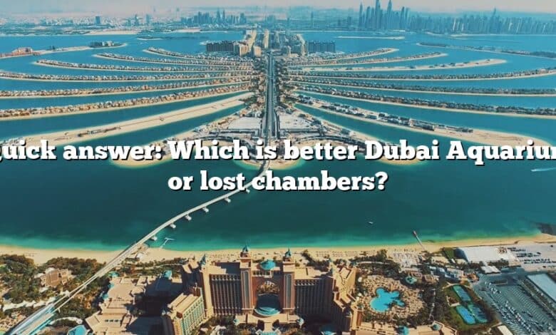 Quick answer: Which is better Dubai Aquarium or lost chambers?