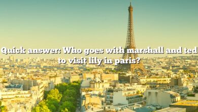Quick answer: Who goes with marshall and ted to visit lily in paris?