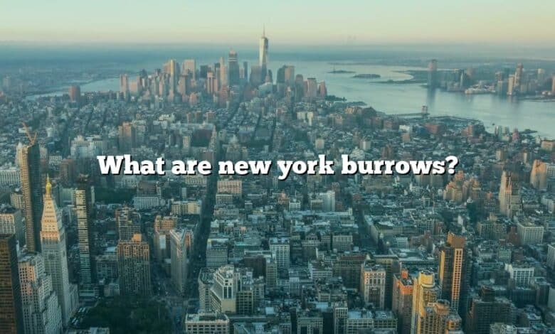 What are new york burrows?
