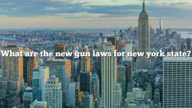 What are the new gun laws for new york state?