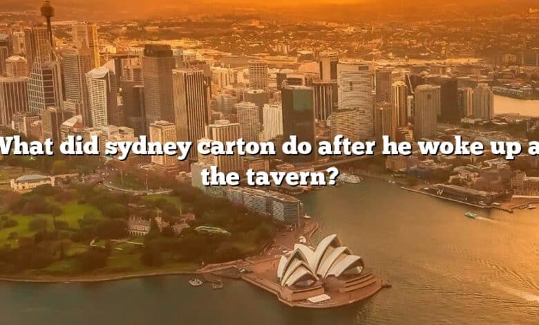 What did sydney carton do after he woke up at the tavern?