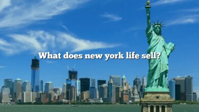What does new york life sell?