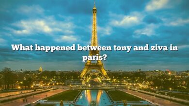What happened between tony and ziva in paris?