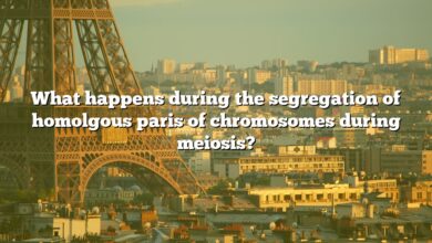 What happens during the segregation of homolgous paris of chromosomes during meiosis?