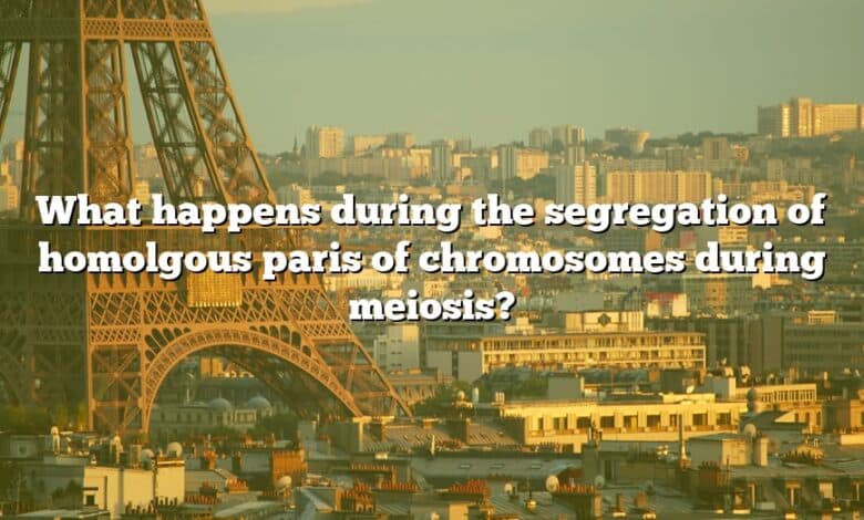 What happens during the segregation of homolgous paris of chromosomes during meiosis?
